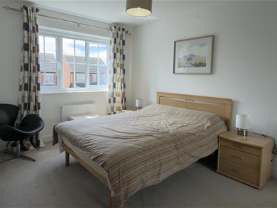 Picture 24